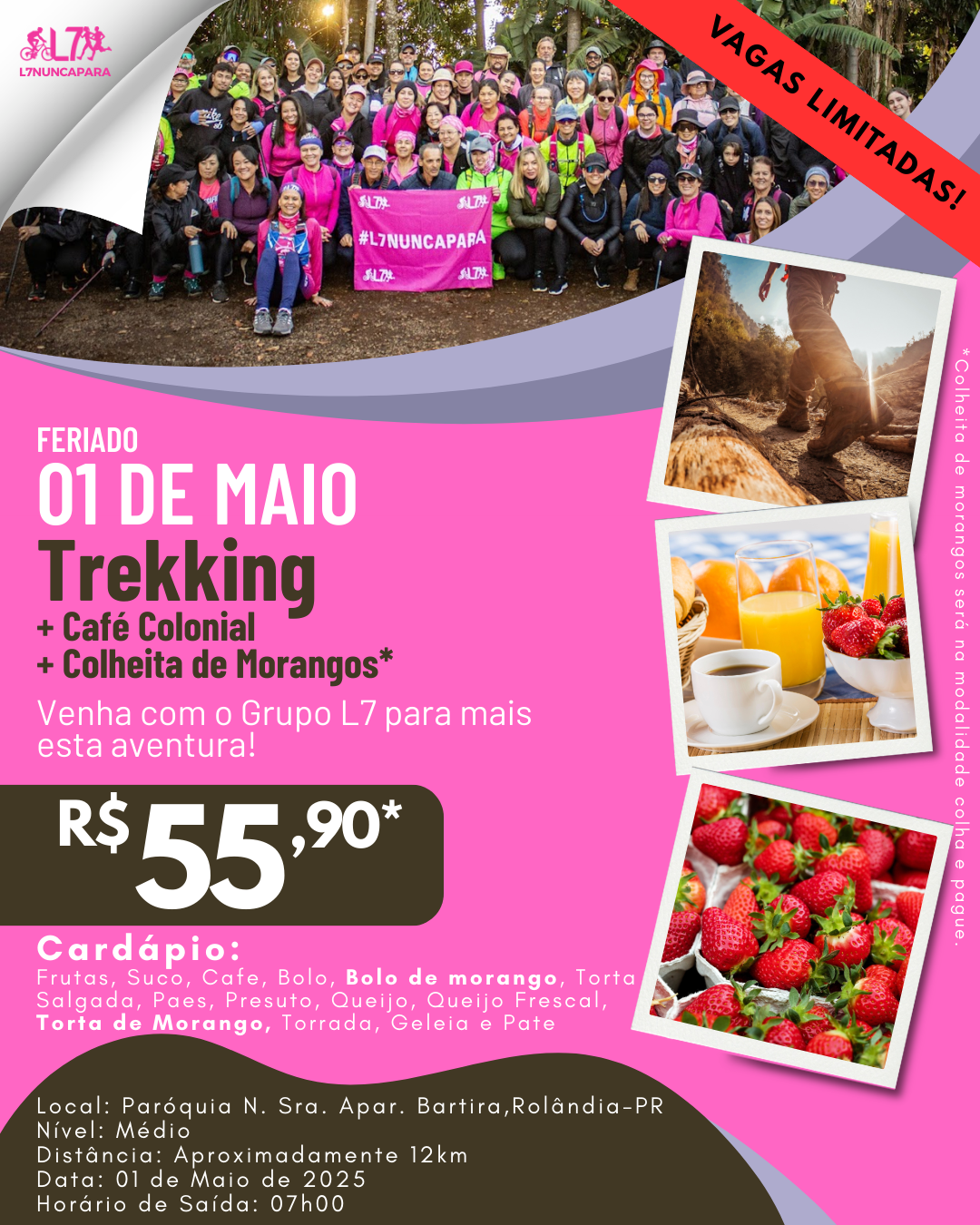 Trekking + Café Colonial + Colheita de Morangos
